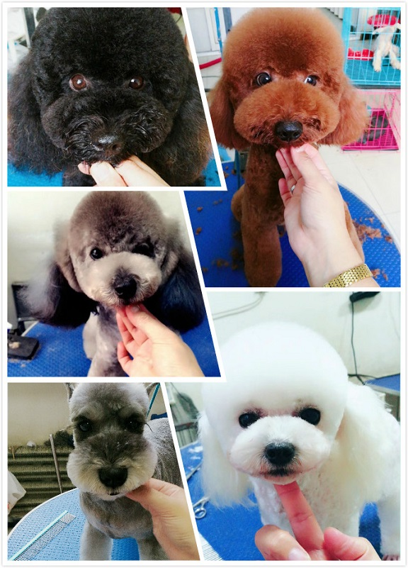 1538027382840154.jpg 未命名_meitu_4.jpg